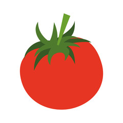 tomato food flat illustration icon vector design graphic