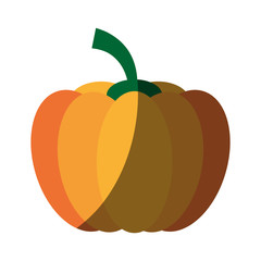 tomato food flat illustration icon vector design graphic shadow