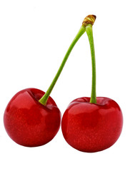 Two red berries