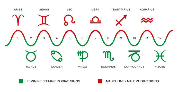 The polarity of the zodiac signs. Masculine / male and feminine / female zodiac signs in astrology. Red and green symbols with Latin astrological sign names. Illustration on white background. Vector.