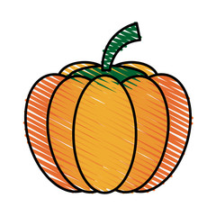 tomato food doodle illustration icon vector design graphic