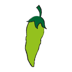 chili food draw illustration icon vector design graphic