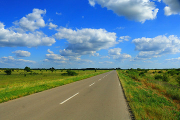 Rural road landscape
