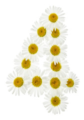Arabic numeral 4, four, from white flowers of chamomile, isolated on white background