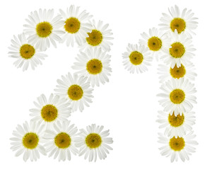 Arabic numeral 21, twenty one, from white flowers of chamomile, isolated on white background