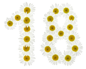Arabic numeral 18, eighteen, from white flowers of chamomile, isolated on white background
