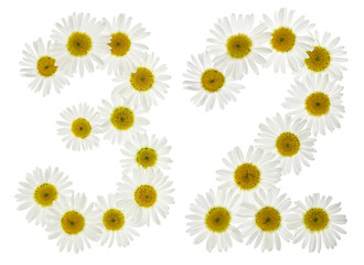 Arabic numeral 32, thirty two, from white flowers of chamomile, isolated on white background