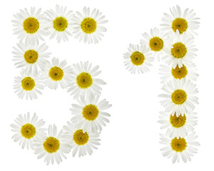 Arabic numeral 51, fifty one, from white flowers of chamomile, isolated on white background