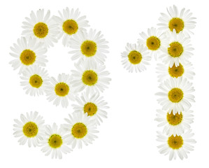 Arabic numeral 91, ninety one, from white flowers of chamomile, isolated on white background