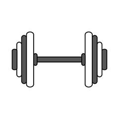 dumbbells sport gym flat icon vector design illustration graphic