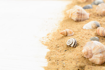 Fototapeta na wymiar Seashells on sand over white wooden table