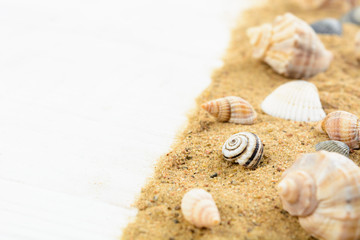 Seashells on sand over white wooden table