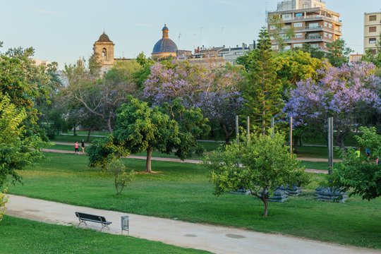 The old Turia's channel is used as park and sports, Valencia, Spain