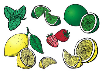 Engrave isolated lemon lime and strawberry hand drawn graphic vector illustration set collection