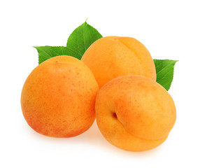 Apricot isolated on white background