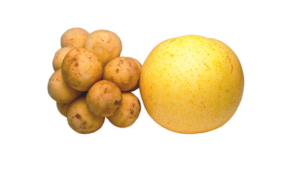 Chinese barrow and southern langsat isolated white background