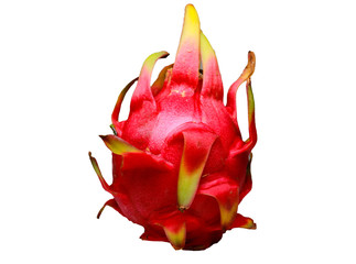  dragon fruit isolated white, fresh fruit concept