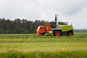 Fototapeta na wymiar Harvester collects dry grass to the truck in a field full of green grass. Truck collects grass clippings, which cuts the tractor driving by on the green field in the summer. Agricultural view