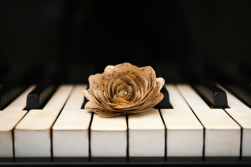 Obraz premium Rose made of music notes on piano keys