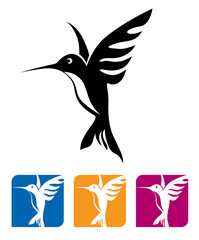 Fototapeta premium Flying hummingbird