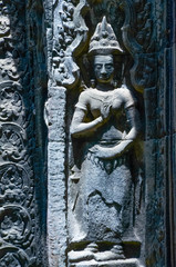 Apsara in Ta Prohm, Siem Reap,Combodia
