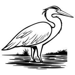 Heron Illustration