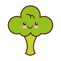 broccoli fresh vegetable kawaii character vector illustration design