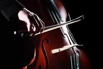 Double bass player Hands playing contrabass - obrazy, fototapety, plakaty