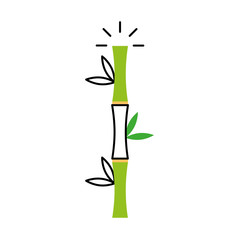 Fototapeta na wymiar bamboo stem natural icon vector illustration design