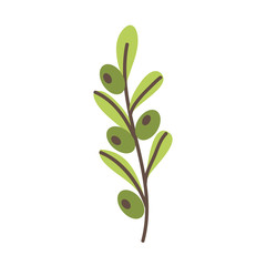 leafs plant wreath icon vector illustration design