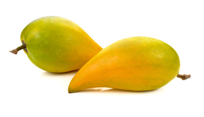 Sapodilla India with white background-Yellow fruit