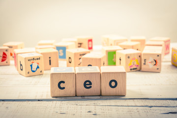 Word ' CEO  ' wood Cubic on the wood 