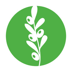 leafs plant wreath icon vector illustration design