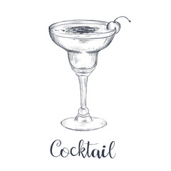 1039092 Cocktail sketch hand drawing. Vector illustration of cocktail
