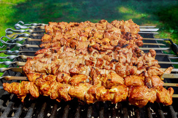 Pork on skewers cooked on barbecue grill.
