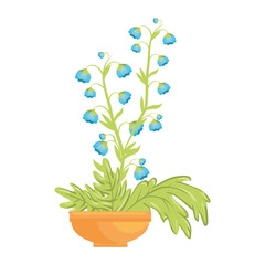 flowers in a pot icon over white background colorful design vector illustration