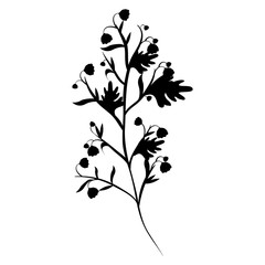 leaves icon over white background vector illustration