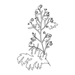 Fototapeta premium beautiful flowers and leaves icon over white background vector illustration