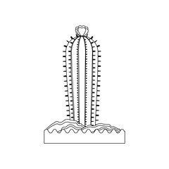 cactus icon over white background vector illustration