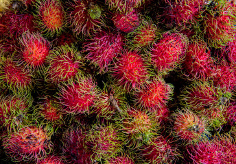 rambutan