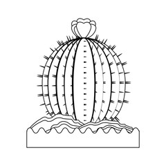 cactus icon over white background vector illustration