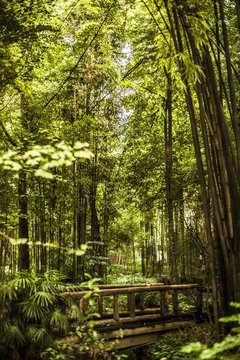 Du Fu Thatched Cottage in Chengdu, China