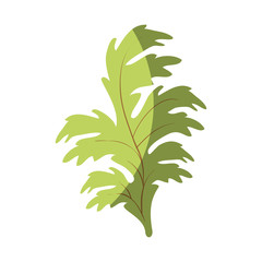 leaf icon over white background colorful design vector illustration