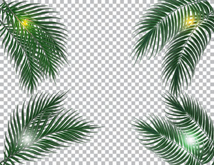 Fototapeta na wymiar Tropical dark green palm leaves on four sides. Sun rays. Isolated on checker background. illustration