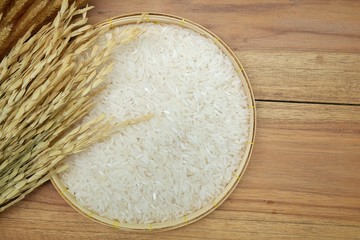 Paddy and white rice on wooden background
