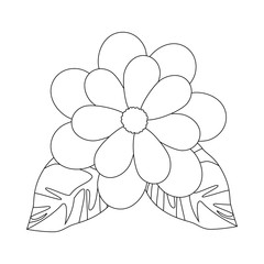 beautiful flower icon over white background vector illustration