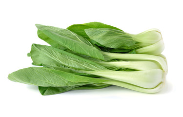 Bok choy (chinese cabbage) isolated on white background