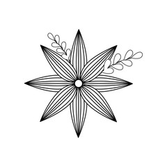 beautiful flower icon over white background vector illustration