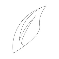 leaf icon over white background vector illustration