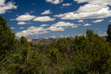 Observation Point Trail P